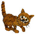 Kitty