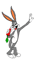 Bugs
