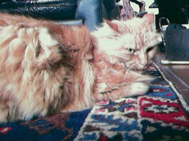 Chilled Ru !