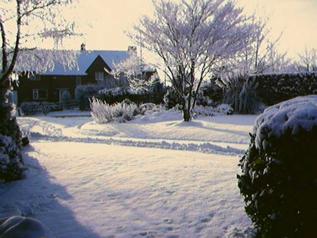 Snow