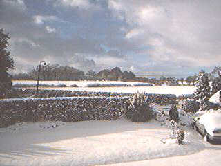 Snow