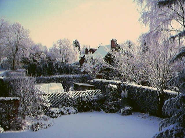 Snow