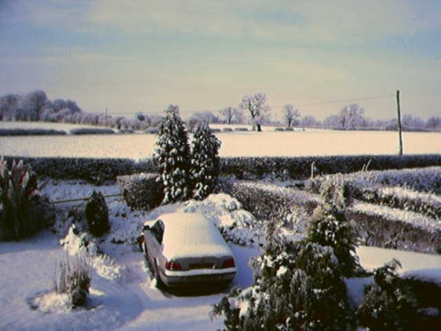 Snow