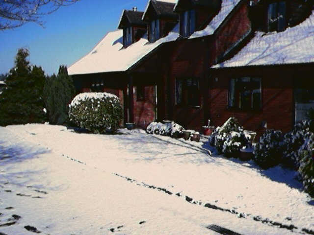 Snow