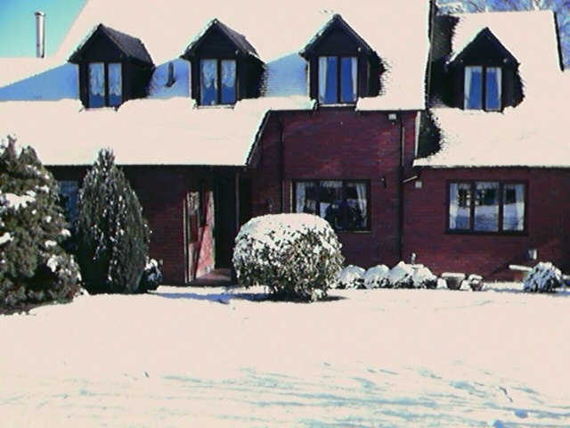 Snow