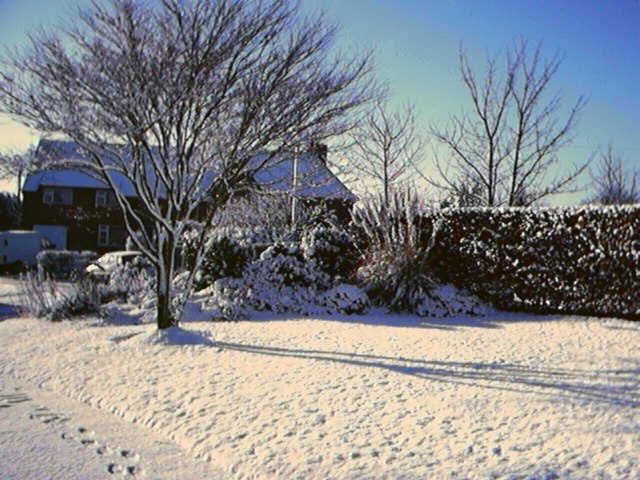 Snow
