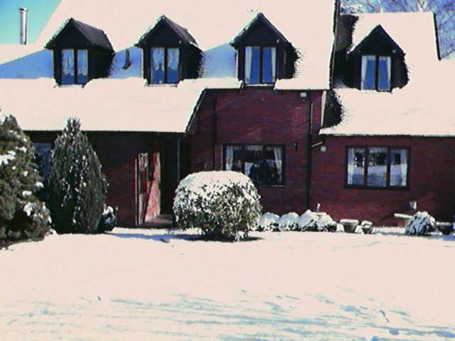 Snow