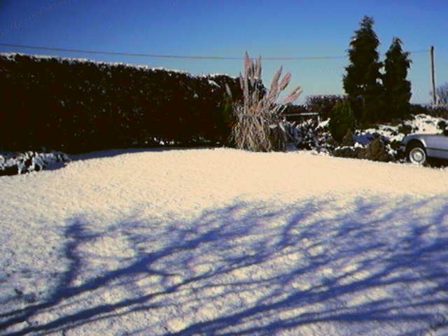 Snow