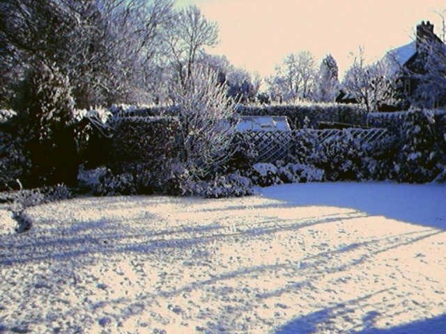 Snow 2001